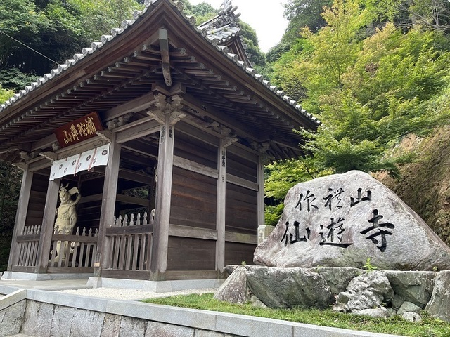 IMG-9844.jpg