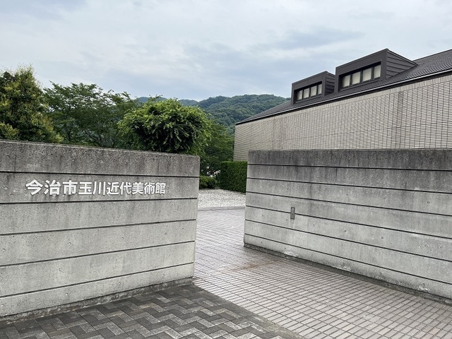IMG-9845.jpg