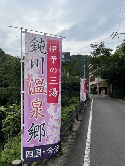 IMG-9849.jpg